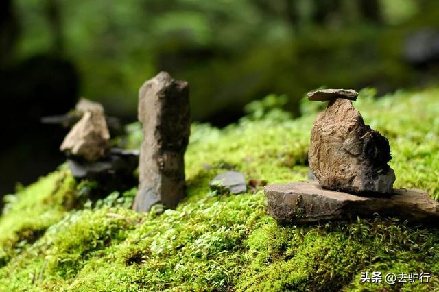 如果有天堂，或许就在中国这个村子里