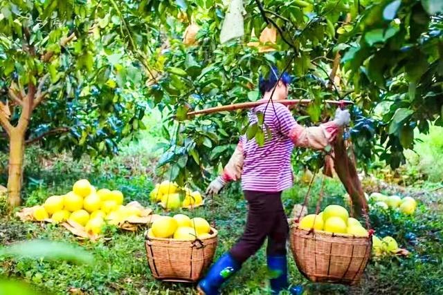 别再去人挤人！这座宝藏小城，一半是山水，一半是客家味
