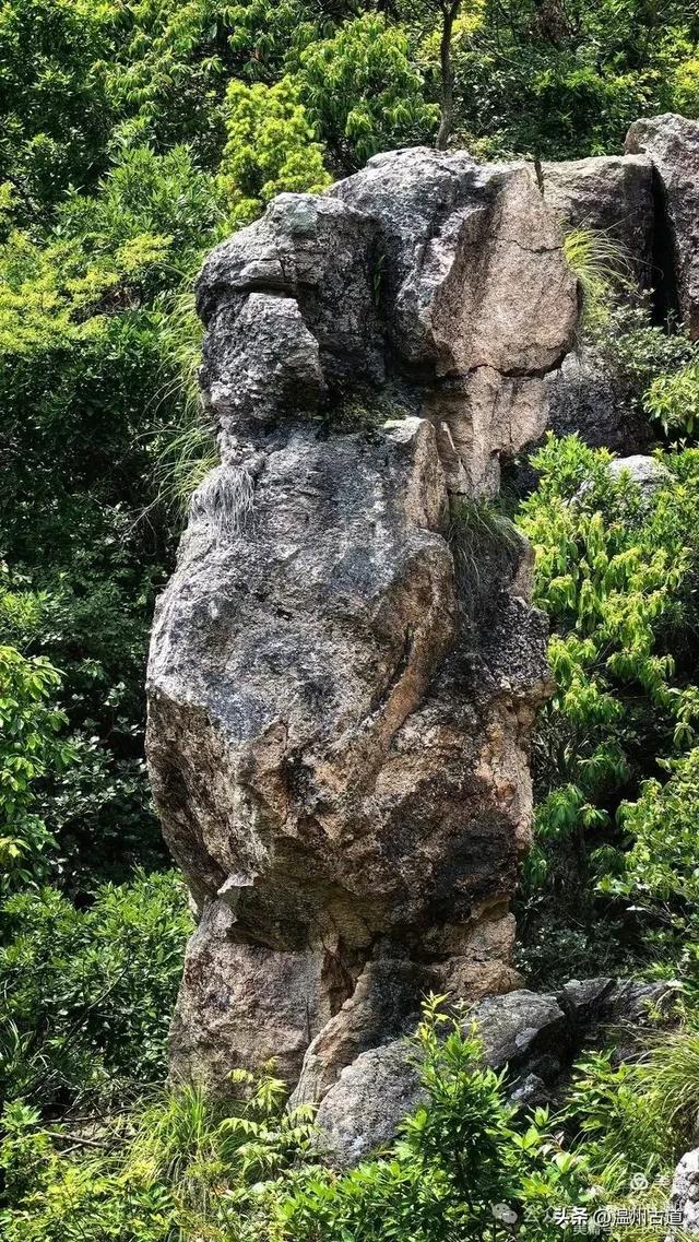 这座有24个奇峰、14个石洞,120处景点的名山你可去过?