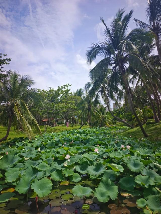高铁直达！中国最好吃的6座城市，都在这了！！