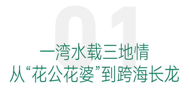 香洲，凭什么又火上“央视”？