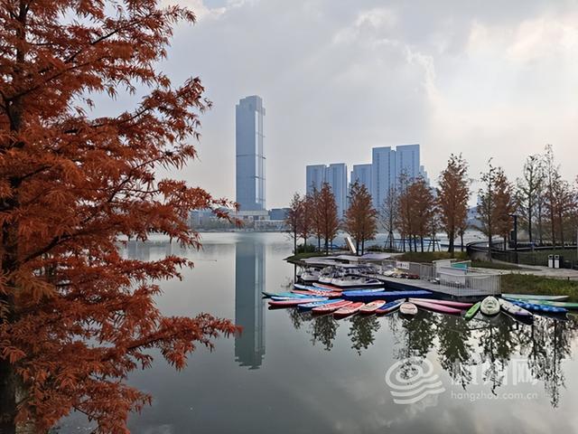 “深秋多巴胺”上新！ 在家门口遛弯就能邂逅莫奈限定版河道美景