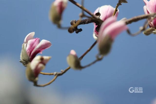 市南的2026，应该这样过...