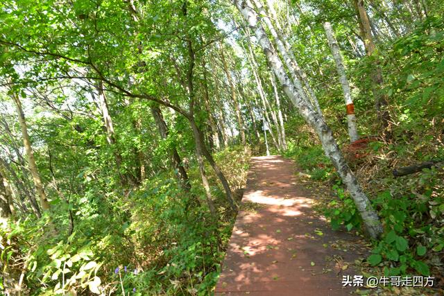 河北百草畔（中）：览尽三山舒望眼，行穿百草浣尘襟