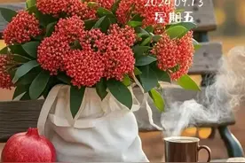 虽然有点瞌睡兮兮，我还是决定吃半颗艾司唑仑，期待今夜睡个好觉图片