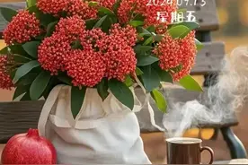 虽然有点瞌睡兮兮，我还是决定吃半颗艾司唑仑，期待今夜睡个好觉图片