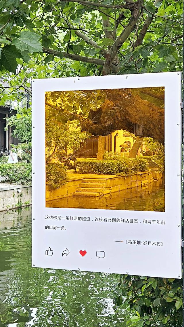 金色诗语｜七律·黎里古镇