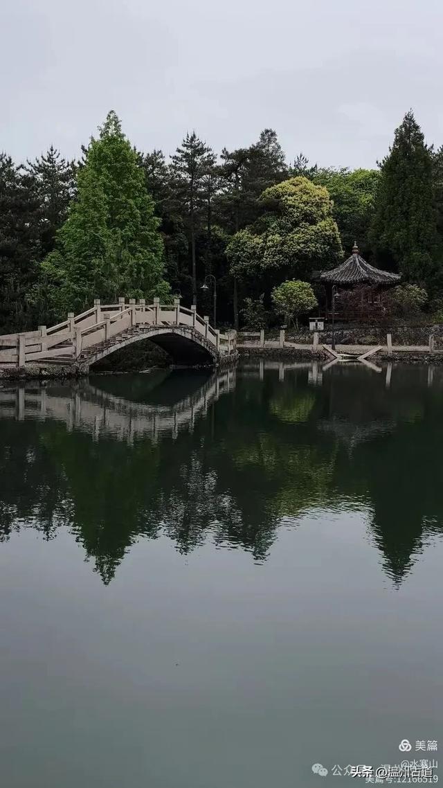 温州酷暑哪里有清凉，当然永嘉四海山！