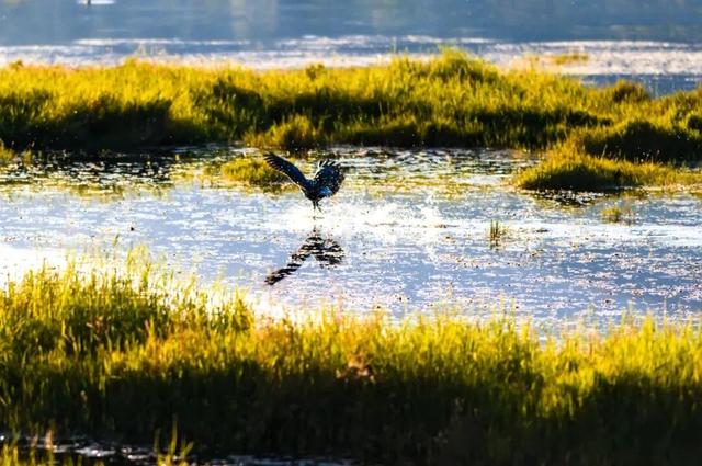 腾冲2026年度文旅活动主题发布，月月有惊喜！