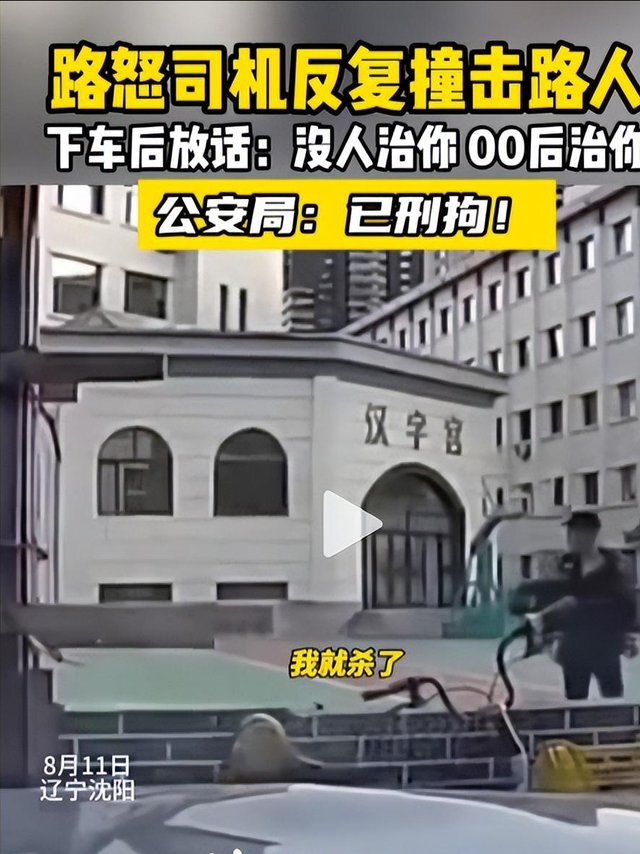 沈阳00后故意撞人后续，猛踩油门下死手，身份曝光，难怪如此嚣张