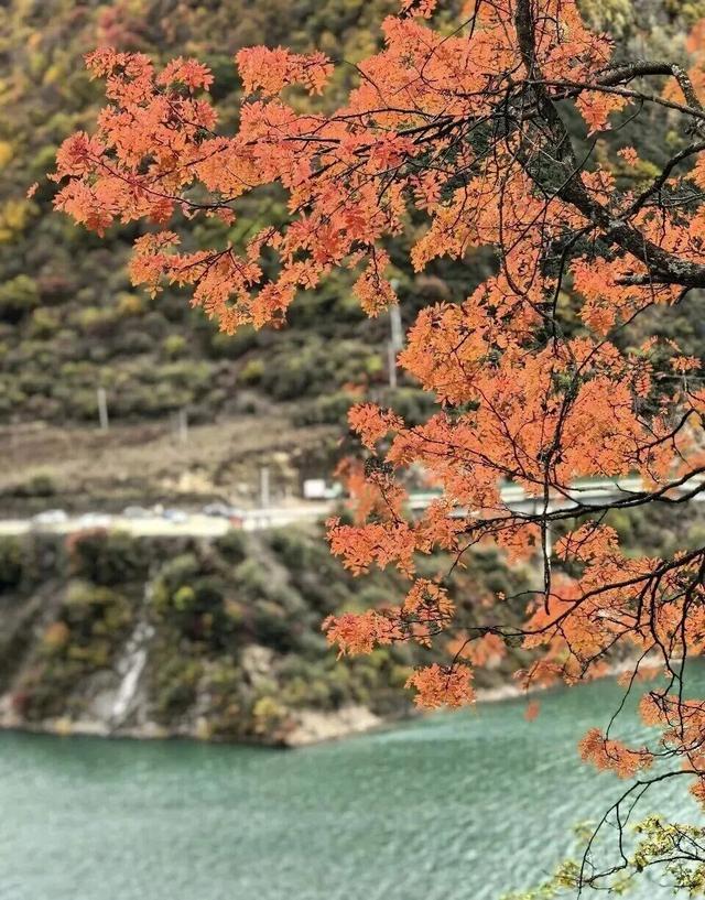 【美丽四川】平武天母湖，邂逅一场彩林与碧水的秋日盛宴‖柳红樱