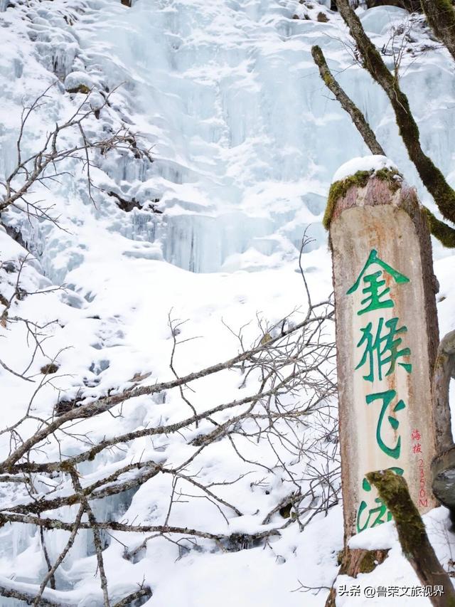 南国最美雪乡神农架：108种冬日浪漫，藏着华中最野的雪趣