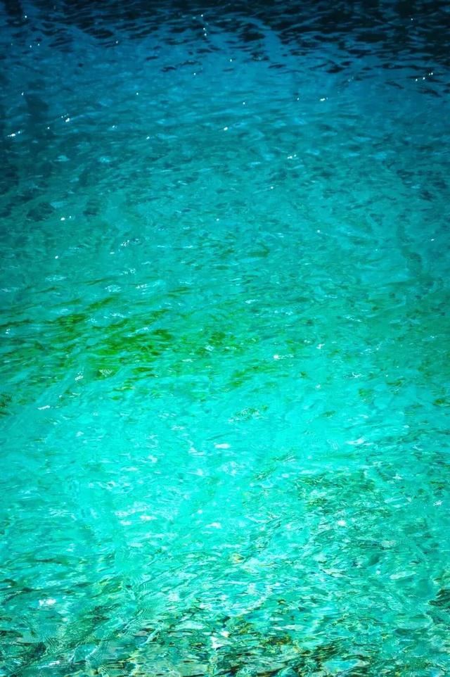 她们说九寨沟烤肠好吃我就来了！