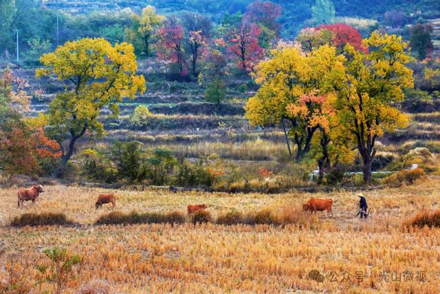 信阳十个醉美秋景等你打卡，来看光山哪些景区上榜