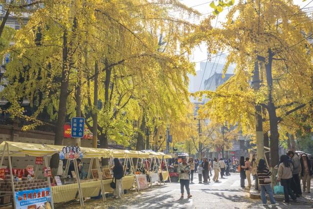 这个周末来银杏路，百张骑行卡免费送！