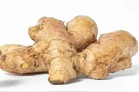 “早上吃姜赛人参，晚上吃姜胜砒霜”。晚上吃姜真的会中毒吗？图片