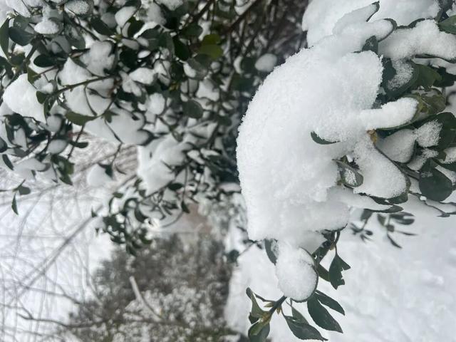 雪覆长河：城市凝固的诗意