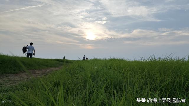 别再找秋天的海了！南京溧水这片草海才是顶流，我已去过了