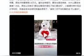 民宿老板网购三千元小熊当摆件放大厅，被起诉侵权赔偿3.8万元，原告：摆在经营场所侵犯了我们展览权图片