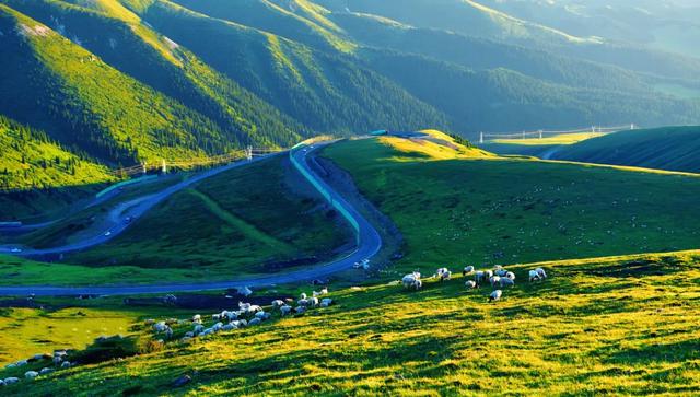 草原花海，塞外江南——超全新疆伊犁旅游攻略