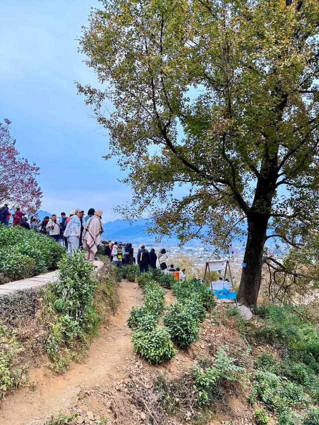 等待日出(黟县宏村镇卢村与奇墅湖)