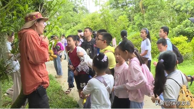 保亭“小小科普宣讲员”研学活动启动 沉浸式探索热带植物奥秘