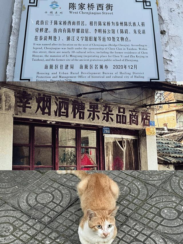 慢煮水城，泰州时光：一份不赶路的深度漫游指南