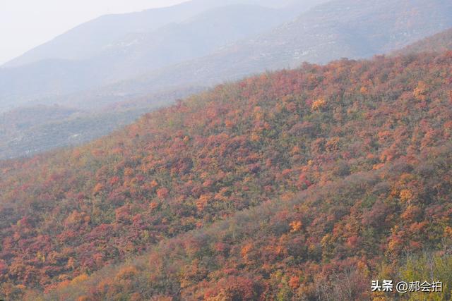 焦作窄门的深秋色彩！走五彩步道，赏太行红叶