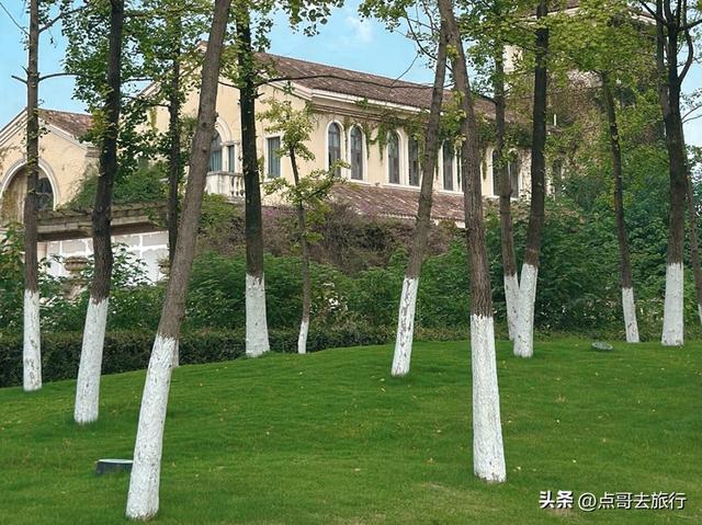 成都市内超级大草坪，美得让人惊叹，是摄影者的天堂，公交车直达