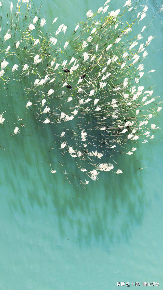 郧阳如画卷 窗含古今色