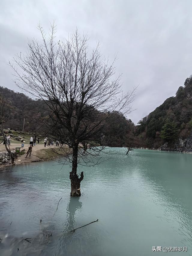 秦岭狮子沟牧场&牛奶湖
