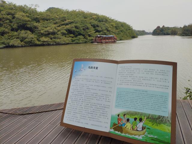 2026温暖广东之旅：漫游珠海、新会、江门