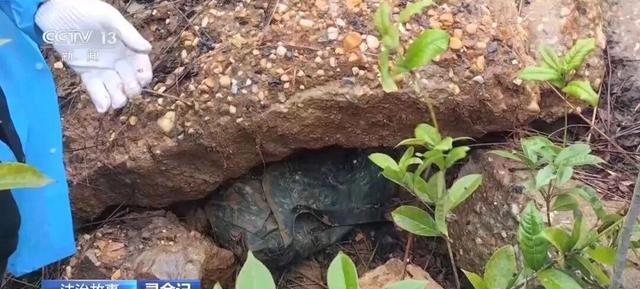 男子盗300万黄金，逃跑时把手机遗落在现场：警方凭狗叫声起获