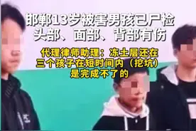 河北邯郸惊现男孩遇害疑案：伤痕遍布身体，冻土挖坑成破案关键图片