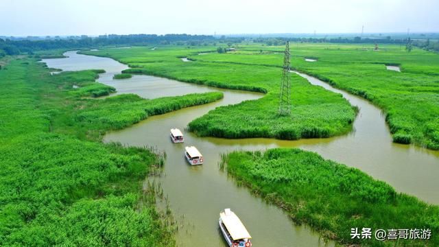 盘锦鼎翔：在苇海的呼吸间，寻一场北国的水乡旧梦