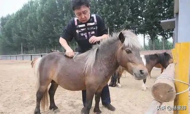 不查不知道一查吓一跳，坐拥北京60亩马场的于谦，私下到底有多壕