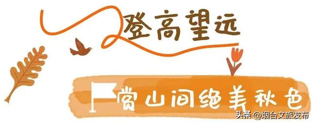 【乐游烟台】你好啊，烟台的秋天！