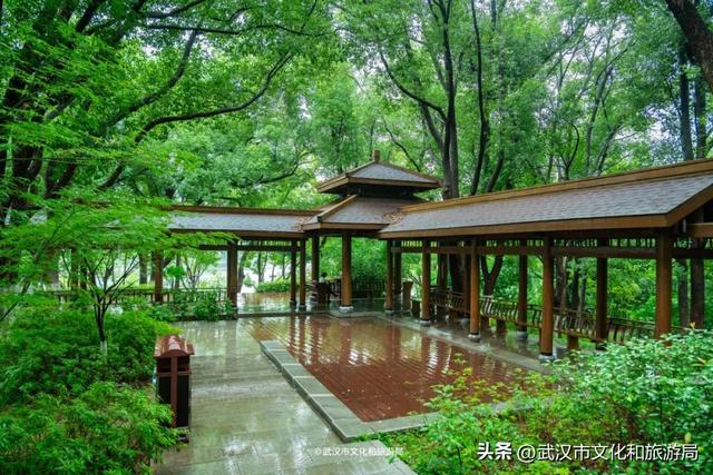 狂降10℃，武汉最凉快的一周，这样玩