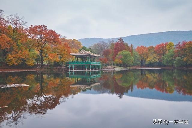 南京市全部区域内免费自驾车停车露营地，主要好玩景点及特色美食