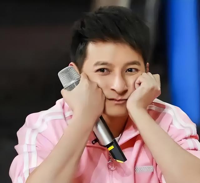 从主持人到"精神病"，49岁无妻无子的李维嘉	，给不婚人士提了个醒