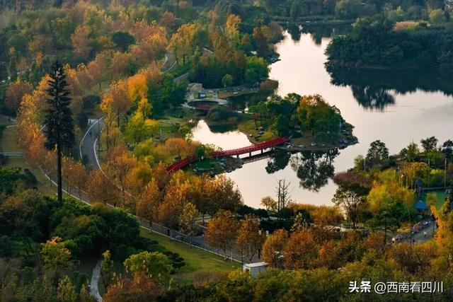 秒杀巴黎的晨跑圣地!马克龙用脚步为成都“代言”,网红湖这样练成