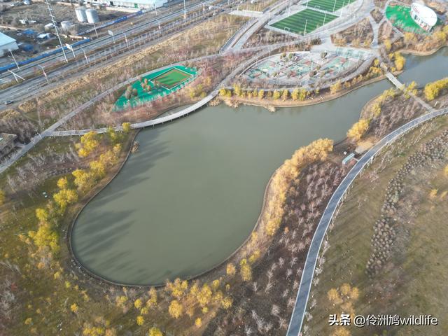 新疆昌吉头屯河公园