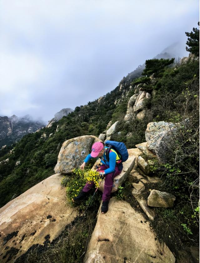 驴行信记：再攀“磨山顶”