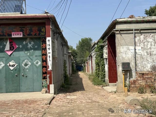 冠县乡韵·定远寨镇前杏园村
