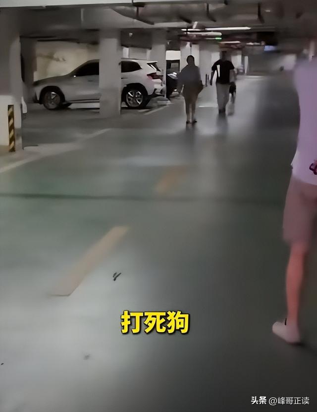 丹阳杜宾犬最新后续：网友不满处理依旧炸锅，养狗人终于登门道歉