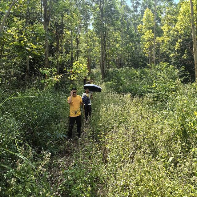 仙游大帽山，心有余悸啊！！