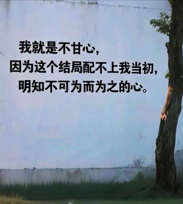 经典语录｜不要因为短暂的困难而闷闷不乐，一切都会好起来的