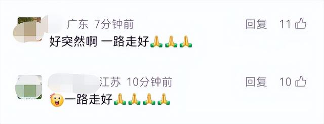 演员何晴去世，享年61岁！网友惋惜：太突然了