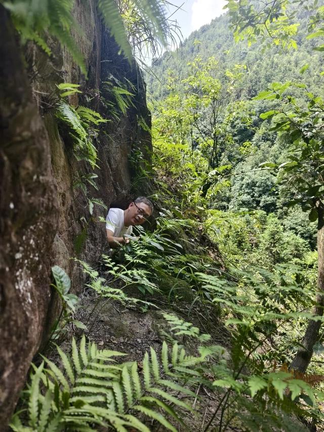 重庆大学城深山发现一排蛮子洞，内部有古人留下的文字和生活痕迹