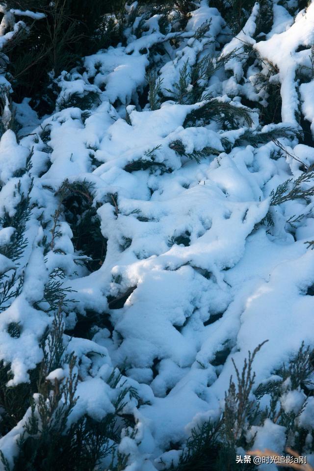 晨晓微曦的雪棱光